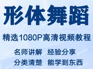 形体舞蹈训练视频教程新手自学零基础入门精通教学课程全集