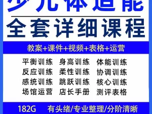 幼少儿童体适能教案训练课程青少年体能教学体系培训感统课件视频