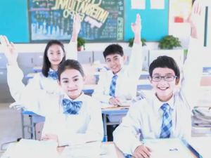  IGCSE国际课程专栏