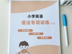 小学英语专题资料
