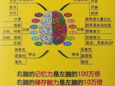 最强大脑宝宝右脑开发宝典
