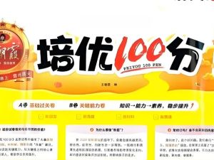 王朝霞培优100分（1-6年级）高清PDF