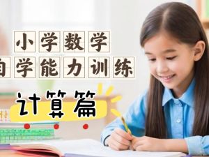 小学数学自学能力训练课 (计算篇) 网课视频