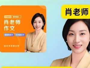 肖书媛老师全集（满分作文 阅读满分 学霸技巧）全套网课视频