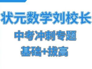 状元数学刘校长初中基础+拔高合集全套网课视频