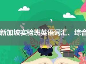 新加坡实验班英语词汇、综合