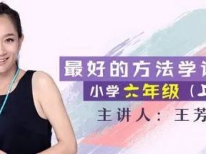 【王芳大语文】小学六年级上中文素养课-部编版（音频）