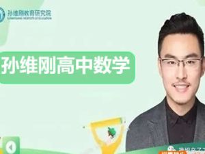 孙维刚高中数学视频全套