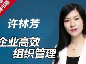 许林芳《企业高效组织管理》课程视频