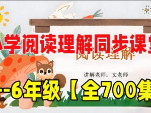 文老师《小学语文课程合集 (基础知识+阅读理解+作文) 》网课视频