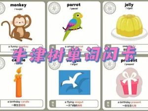[牛津自然拼读单词闪卡]Oxford Phonics World Flashcards1-5级共494张图片