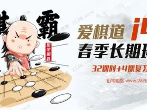 《王盛强老师围棋课：爱棋道春季i4长期班》32课时+4复习课