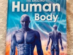美国英语原版教科书《The Human Body》GK-G6共3册PDF