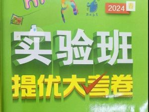 2024春实验班提优大考卷小学1-6三门PDF