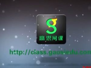 [高思语文]初中专题篇-阅读8课时视频教程