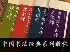 《中国书法经典系列教程：草书、楷书、隶书、纂书入门》共4套视频教程
