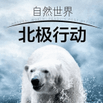 《超凡虫虫队》冒险励志儿童动画片全26集