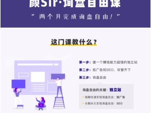 颜sir询盘课【外贸询盘】全套视频课下载