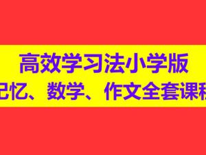 惠学通高效学习法小学版记忆、数学、作文全套课程视频网课