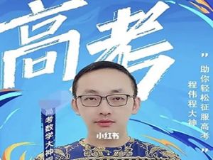 2024程伟巅峰数学：高中数学合集完整版