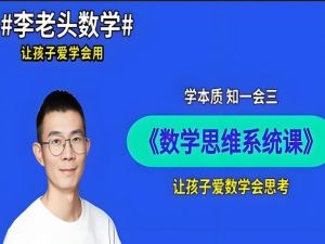 李老头小学数学课程合集