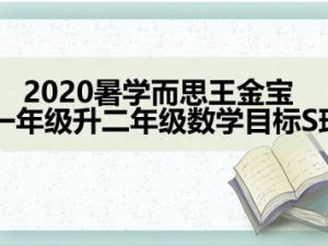 2020暑学而思王金宝 小学数学 一年级升二年级数学目标S班