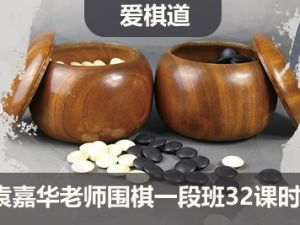【爱棋道】袁嘉华老师围棋一段班32课时