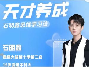 【石明鑫】天才思维规划课 最强大脑第二名