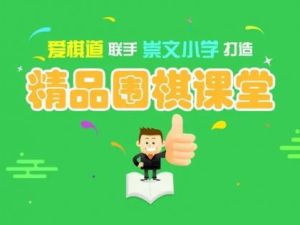 爱棋道围棋课：i5-i9春季长期班视频