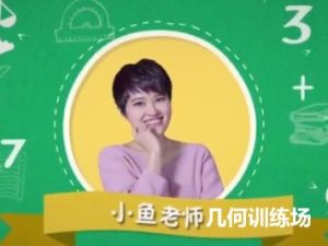 小鱼老师《几何训练场》视频课程18集全下载