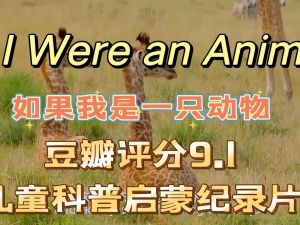 如果我是一只动物中英文全套下载