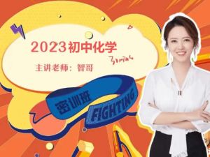 2023杨雯智初中初三化学(尖端寒假班)网课视频