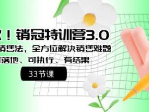 《销冠特训营3.0之顺人性销售法》全方位解决销售难题、可落地执行有结果