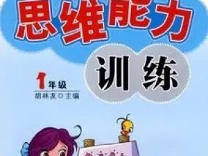 小学数学思维训练 小学数学知识点 共7节