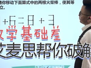 艾麦思数学思维课1-6 年级视频课300讲合集