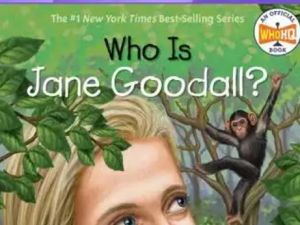 善恩英语-人类的故事精讲视频