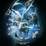 2022 《Super Natural 超自然》第一季全6集 国家地理英语纪录片