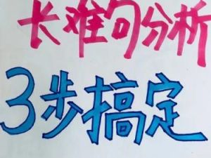 【宋智鸣】长难句技巧分析班2021（精讲视频）