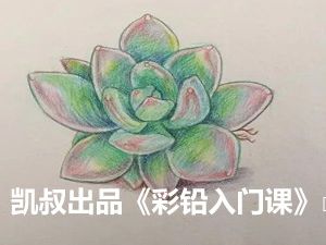 凯叔出品《彩铅入门课》MP4视频课-彩铅素描画画入门启蒙