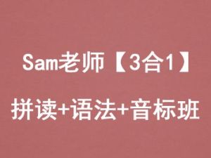 Sam老师【3合1】拼读+语法+音标