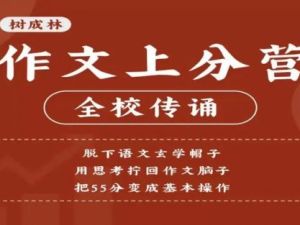 【树成林】2024高三高考作文上分训练营2.0