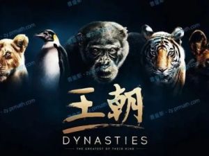 BBC超燃纪录片《王朝》全集视频