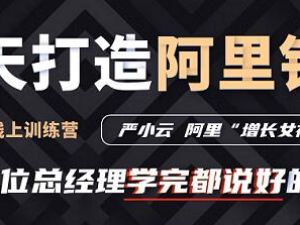 严小云销售特训营《十天快速打造阿里铁军》百位总经理学完都说好
