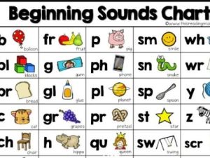 Phonics Letters Bundle Worksheet+Activities共26册PDF