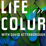 《多彩生活 Life In Colour》Netflix自然纪录片全3集1080p超清下载 mp4中英字幕