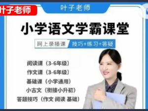 叶子老师小学语文阅读、作文、基础答题技巧网课视频
