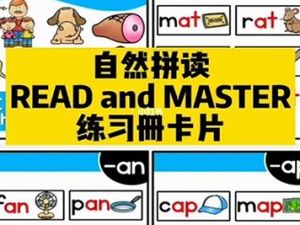 幼儿自然拼读卡片《Read and Master》共15册PDF