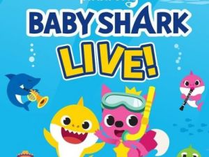 碰碰狐PINKFONG Baby Shark Song 英文儿歌动画全18集下载