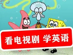 看电视学英语《Learn English with TV Series》系列外教精讲