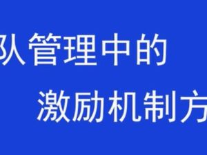 团队激励方案，销售团队管理中的激励机制方法
